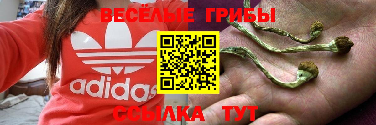 Сибай  Галлюциногенные грибы Magic Shrooms  Вход с VPN  Галлюциногенные грибы ЛСД 